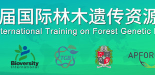 Entidades participantes en la tercera actividad de entrenamiento sobre Recursos Genéticos Forestales en Asia y primer taller CAPFITOGEN ofrecido en dicha región