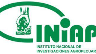 El INIAP organiza el 7º Taller Nacional CAPFITOGEN - Ecuador
